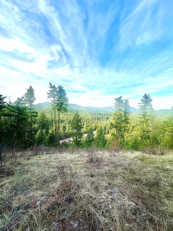 45XX 292 Hwy, Springdale, WA 99173 photo 27