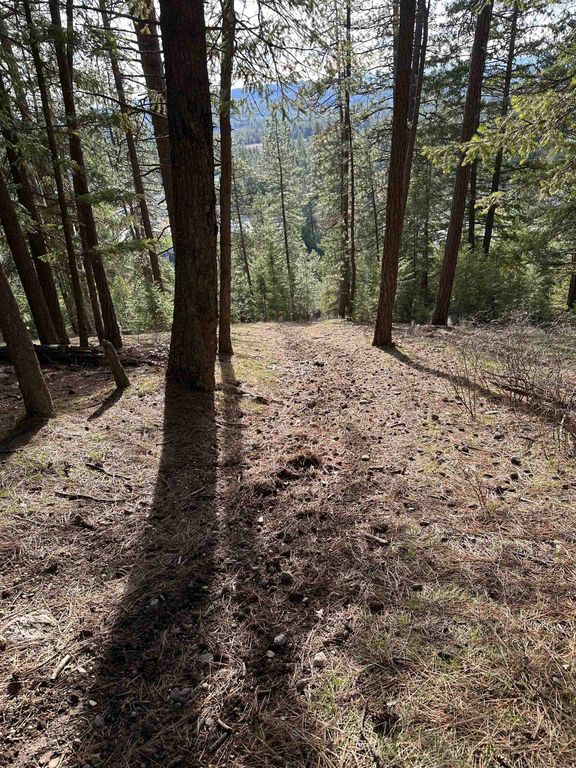 45XX 292 Hwy, Springdale, WA 99173 photo 4