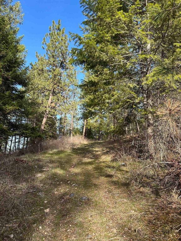 45XX 292 Hwy, Springdale, WA 99173 photo 6