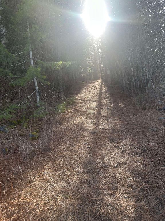 45XX 292 Hwy, Springdale, WA 99173 photo 7