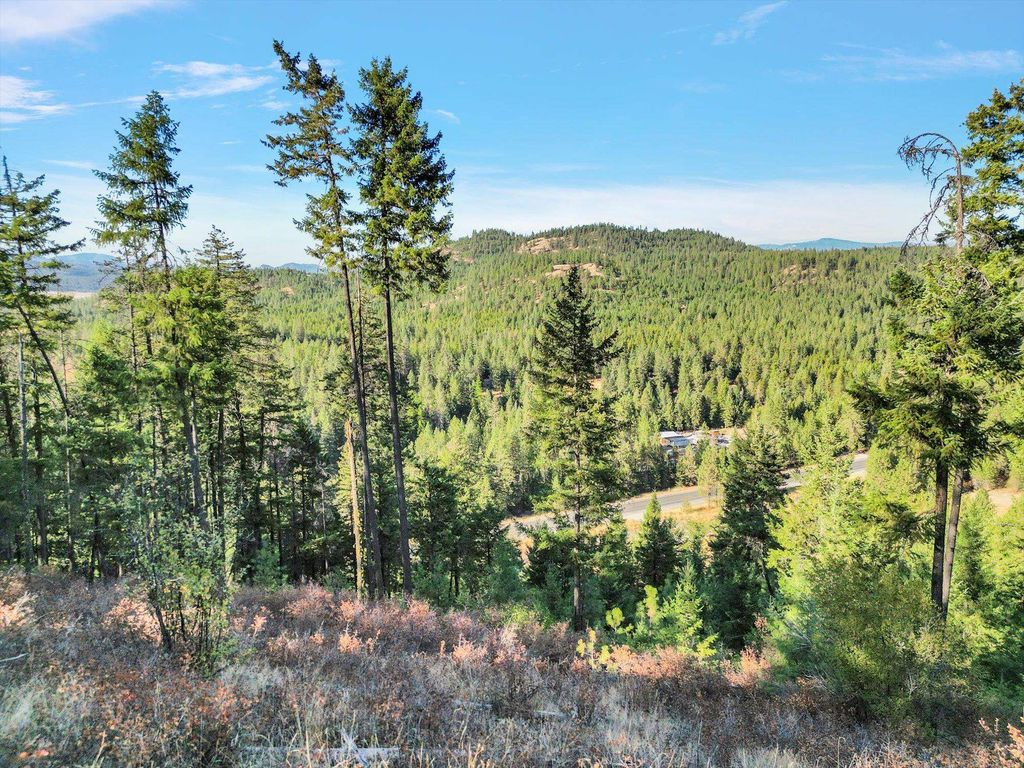 45XX 292 Hwy, Springdale, WA 99173 photo 9