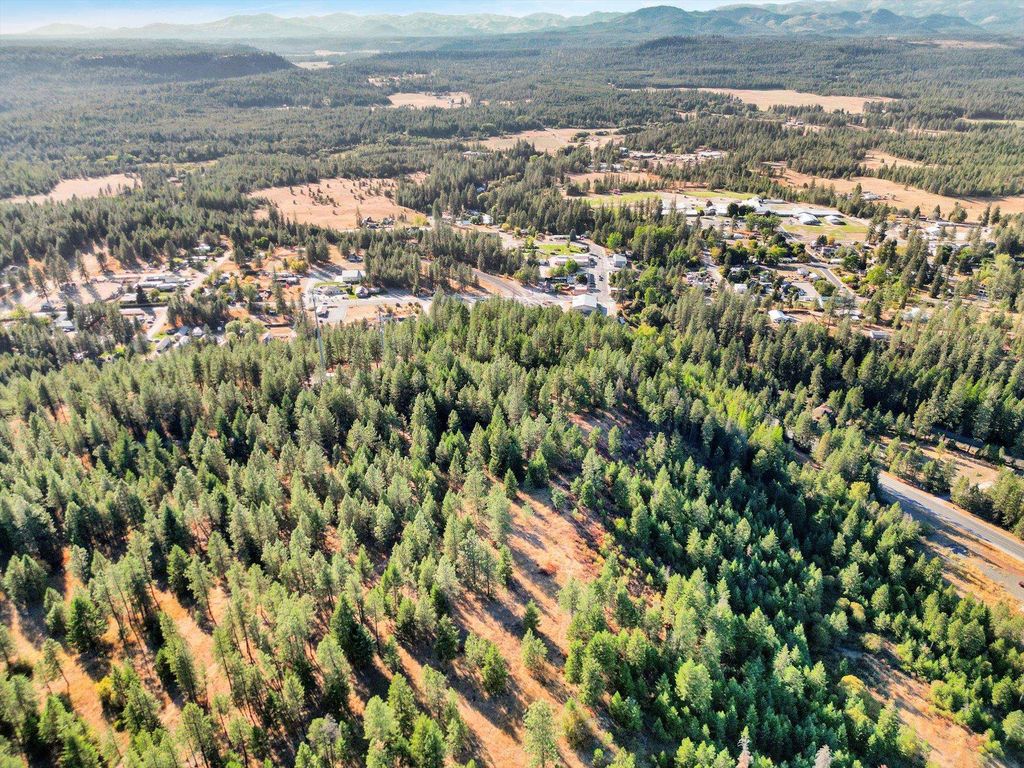 45XX 292 Hwy, Springdale, WA 99173 photo 10