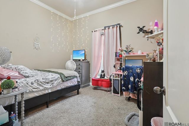 28927 Nottaway Dr, Livingston, LA 70754