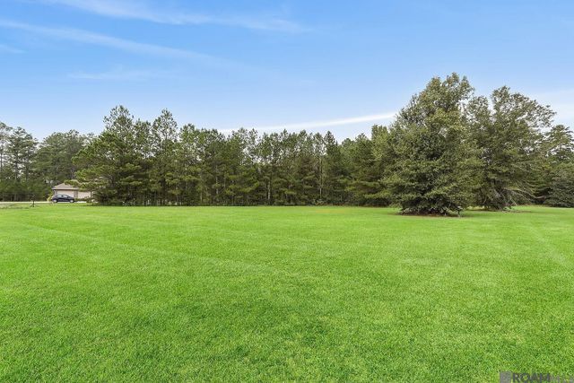 28927 Nottaway Dr, Livingston, LA 70754