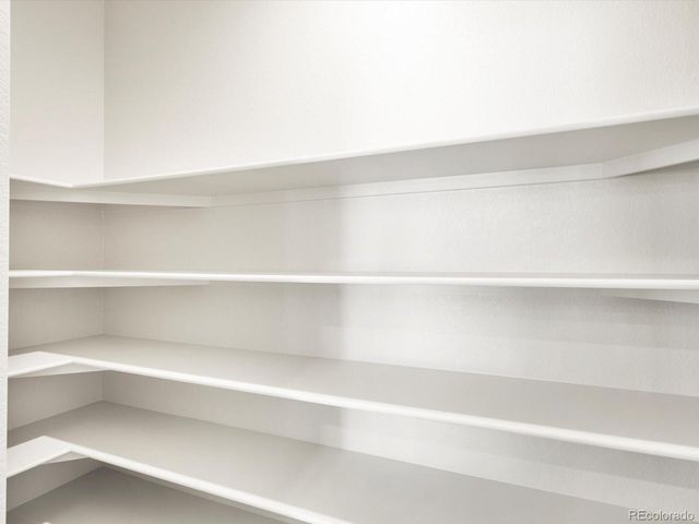 1612 Colorado River Drive, Windsor, CO 80550