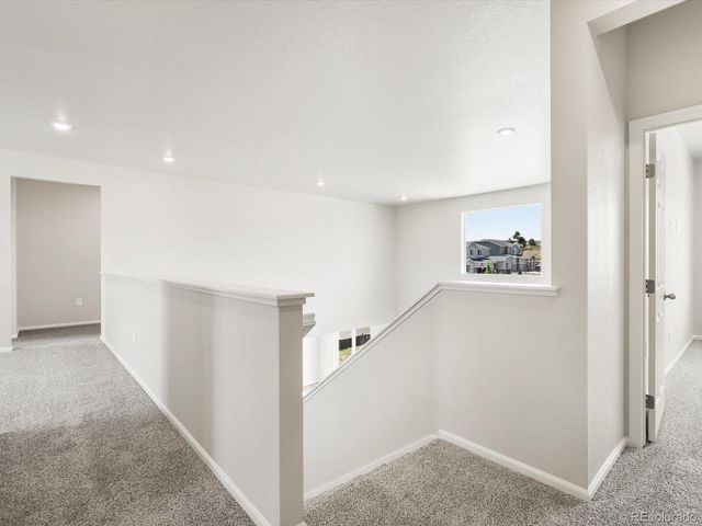 1612 Colorado River Drive, Windsor, CO 80550