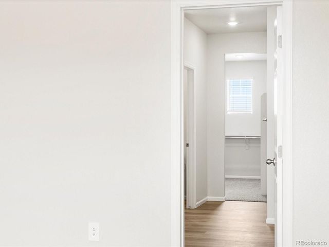 1612 Colorado River Drive, Windsor, CO 80550