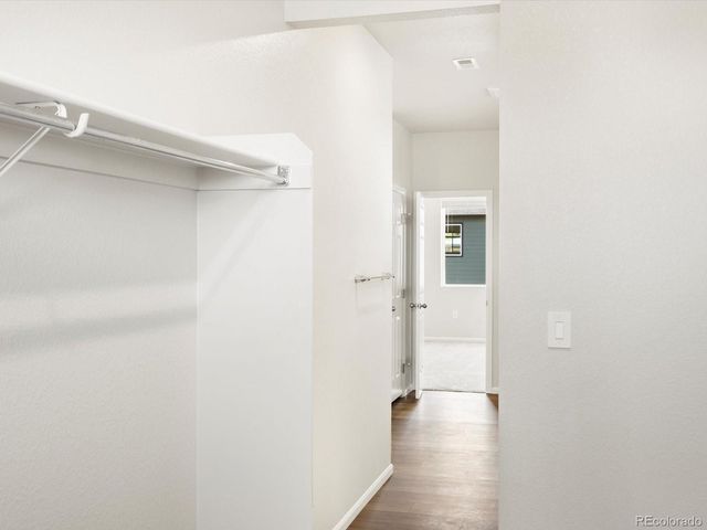 1612 Colorado River Drive, Windsor, CO 80550