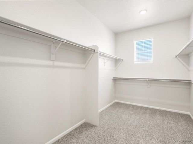 1612 Colorado River Drive, Windsor, CO 80550