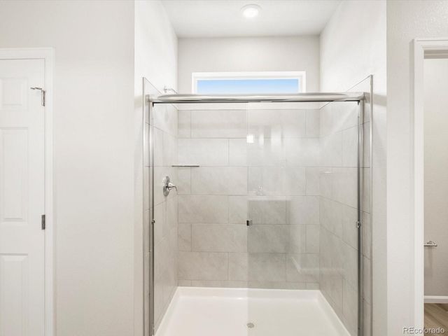 1612 Colorado River Drive, Windsor, CO 80550