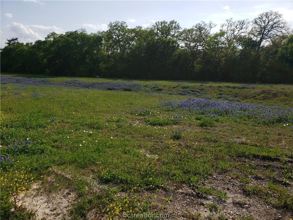 3903 Counsil Lane, Brenham, TX 77833 — photo 2