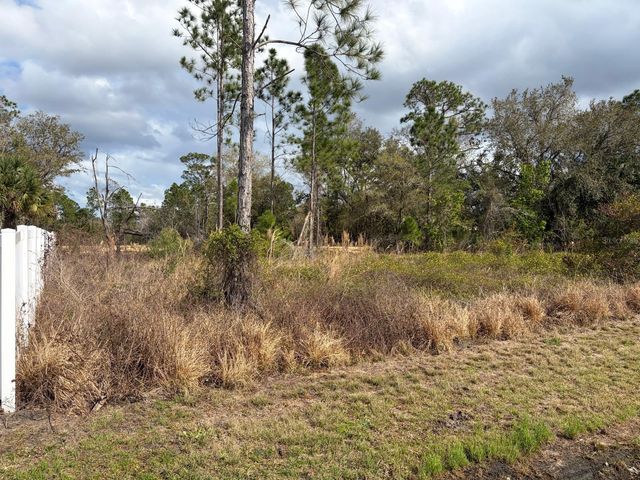 202 SPOONBILL DRIVE, Poinciana, FL 34759