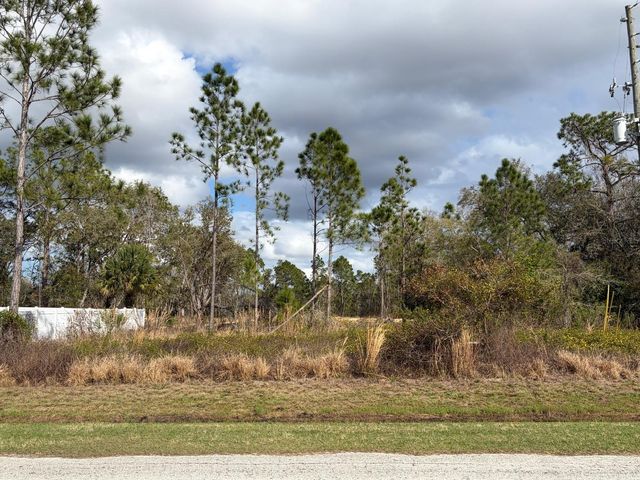 202 SPOONBILL DRIVE, Poinciana, FL 34759