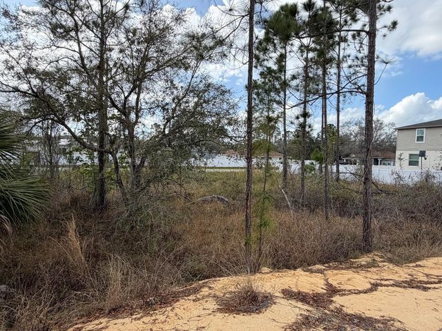 202 SPOONBILL DRIVE, Poinciana, FL 34759