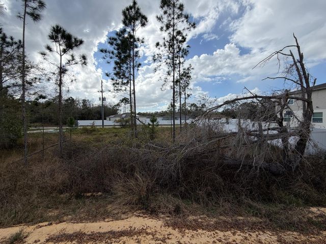 202 SPOONBILL DRIVE, Poinciana, FL 34759