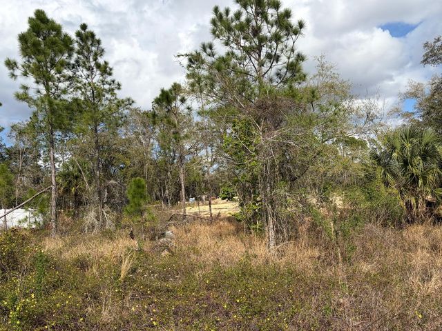 202 SPOONBILL DRIVE, Poinciana, FL 34759