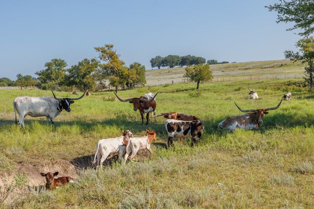 395 Emma Jean Trail, Iredell, TX 76649