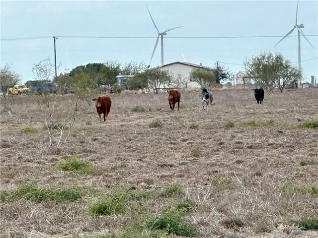 28186 N FM 2058, Edinburg, TX 78541