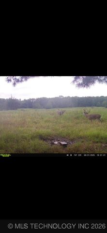 3340 SE 1083 Road, Red Oak, OK 74563