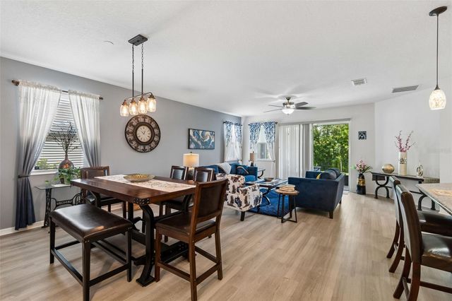 10626 LAGUNA PLAINS DRIVE, Riverview, FL 33578