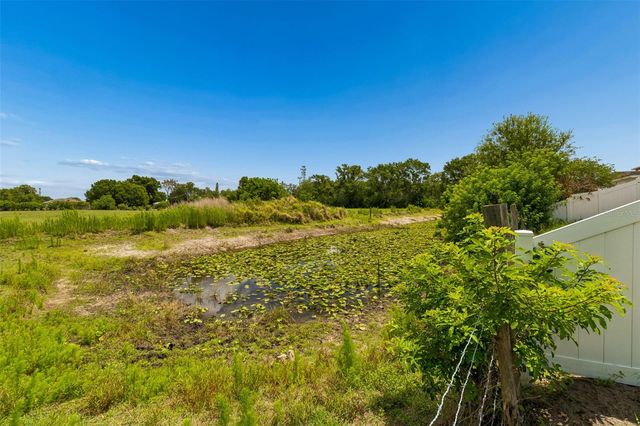 10626 LAGUNA PLAINS DRIVE, Riverview, FL 33578