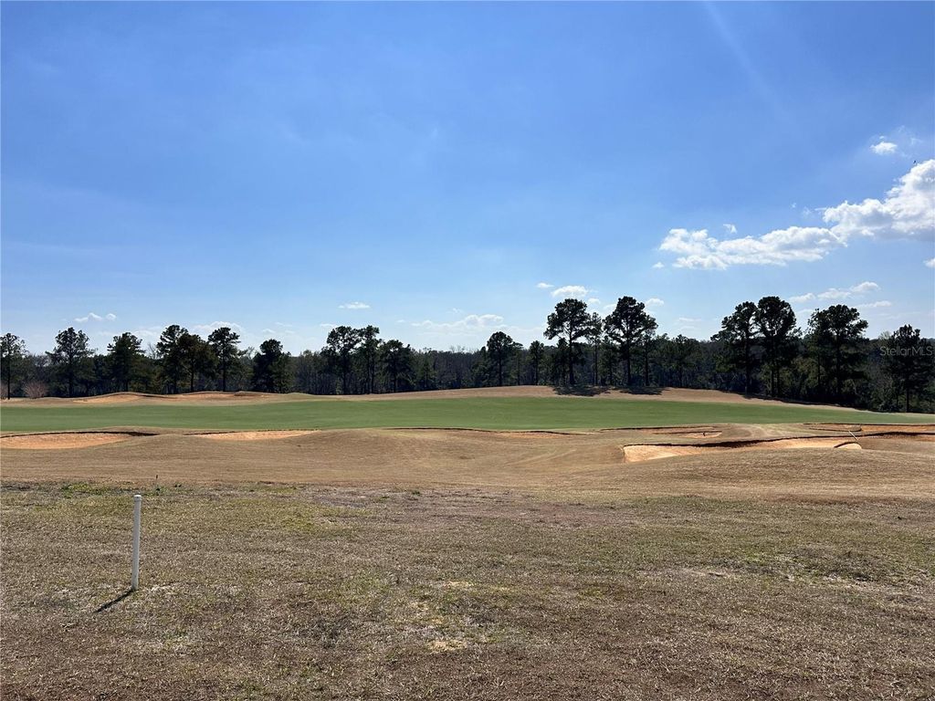 16222 VETTA DRIVE, Bella Collina, FL 34756