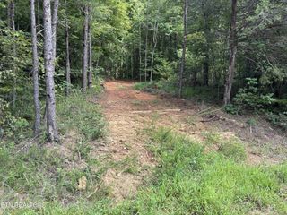 130 Tellico Camp Rd, Madisonville, TN 37354