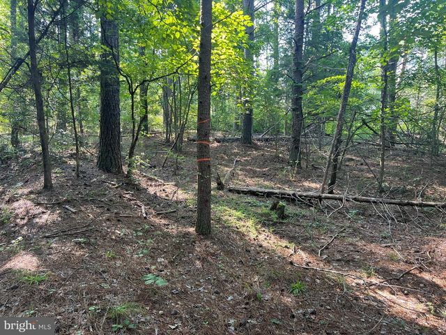 LAKE FOREST DRIVE, Mineral, VA 23117