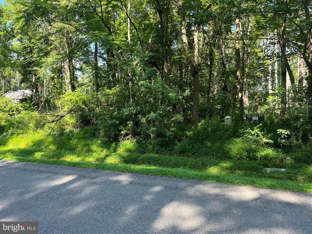 LAKE FOREST DRIVE, Mineral, VA 23117