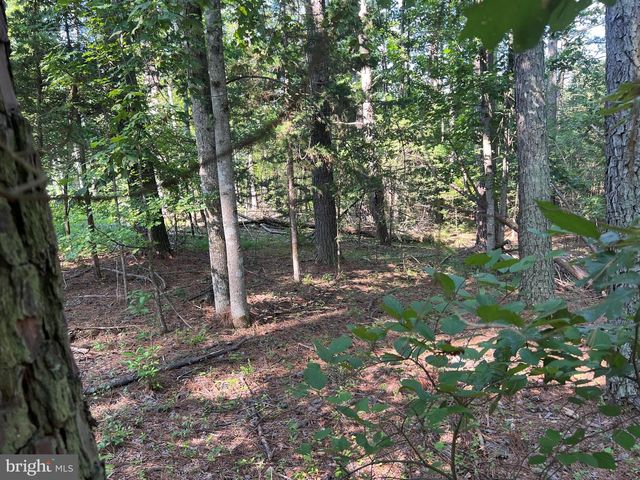 LAKE FOREST DRIVE, Mineral, VA 23117