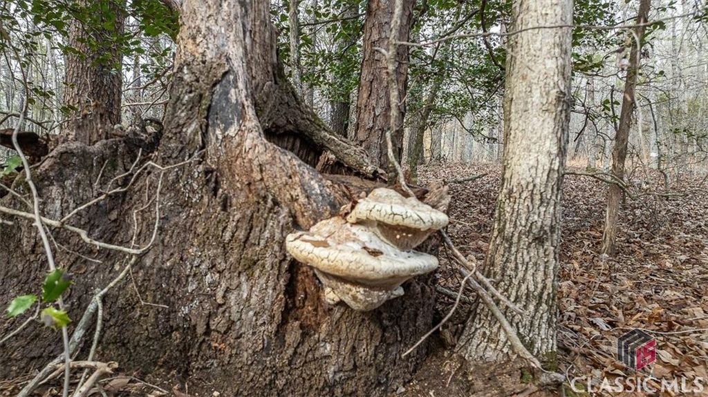 Image 58 of property listing at 1257 Seymour Road, Bowman, GA 30624