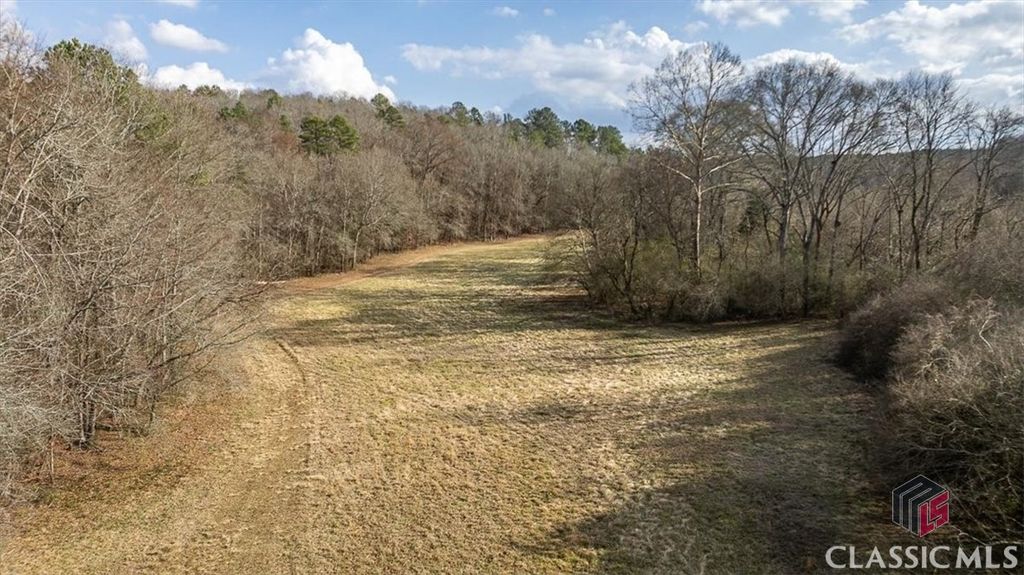 Image 63 of property listing at 1257 Seymour Road, Bowman, GA 30624