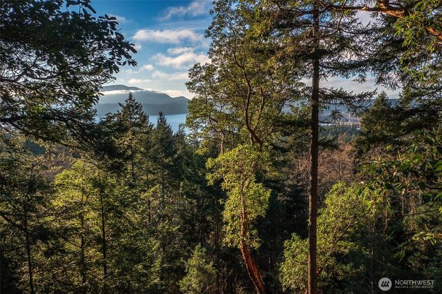 558 Buck Mt. Road, Orcas Island, WA 98245