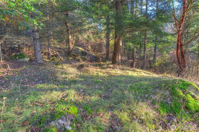 558 Buck Mt. Road, Orcas Island, WA 98245
