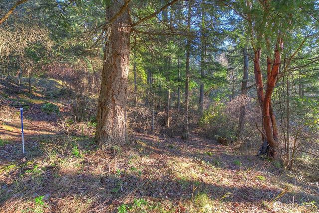 558 Buck Mt. Road, Orcas Island, WA 98245