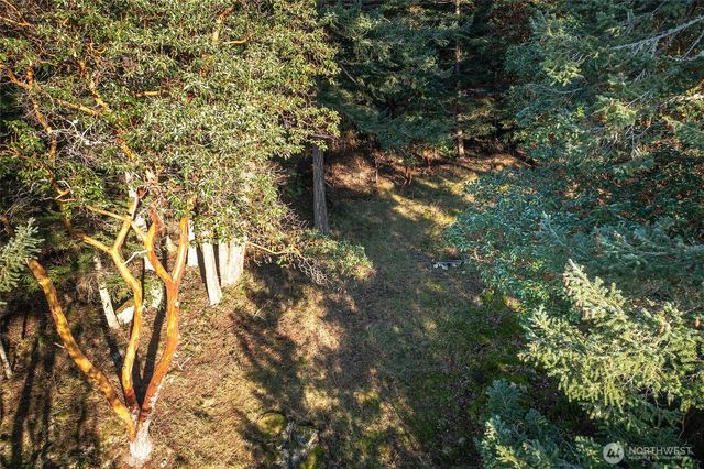 558 Buck Mt. Road, Orcas Island, WA 98245