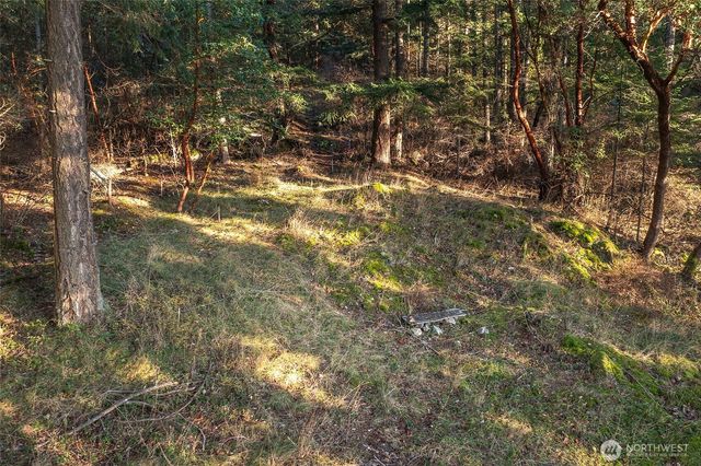 558 Buck Mt. Road, Orcas Island, WA 98245