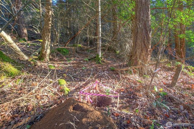 558 Buck Mt. Road, Orcas Island, WA 98245