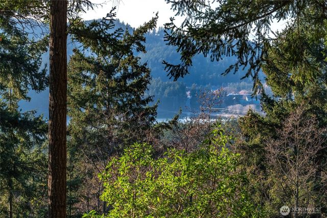 558 Buck Mt. Road, Orcas Island, WA 98245