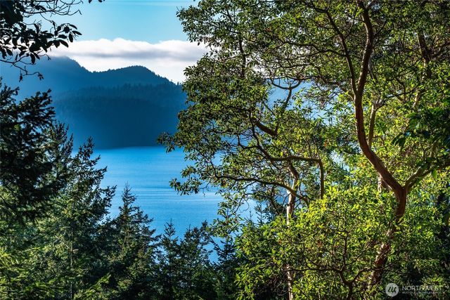 558 Buck Mt. Road, Orcas Island, WA 98245