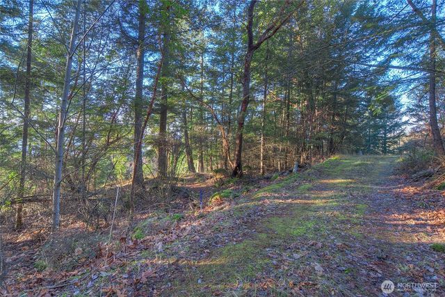 558 Buck Mt. Road, Orcas Island, WA 98245