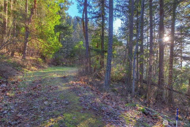 558 Buck Mt. Road, Orcas Island, WA 98245