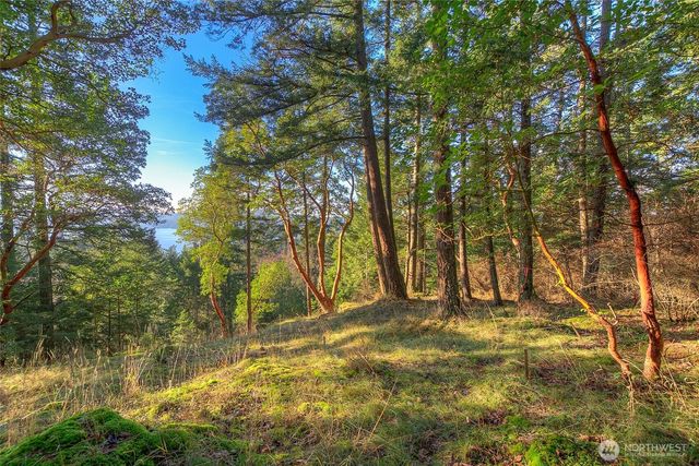 558 Buck Mt. Road, Orcas Island, WA 98245
