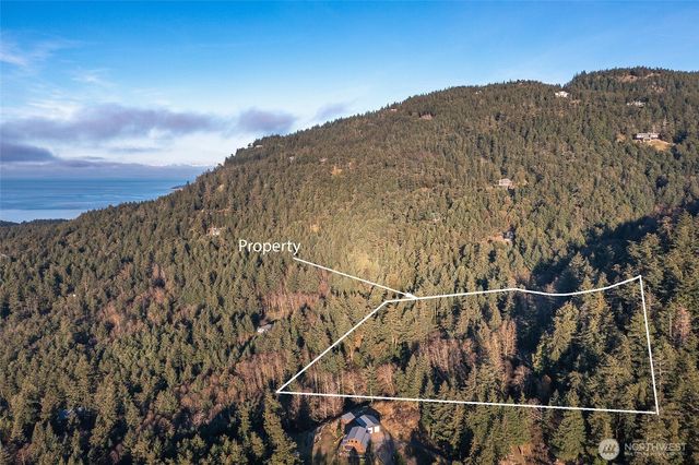 558 Buck Mt. Road, Orcas Island, WA 98245