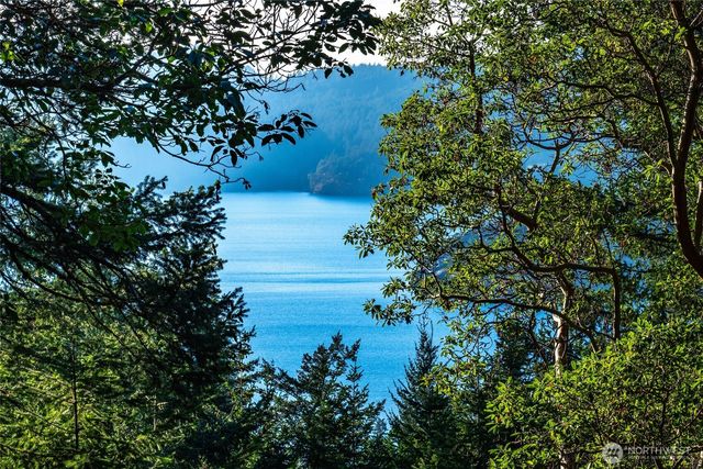 558 Buck Mt. Road, Orcas Island, WA 98245