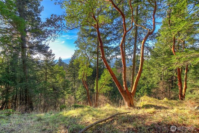 558 Buck Mt. Road, Orcas Island, WA 98245