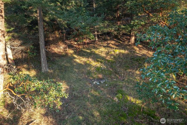 558 Buck Mt. Road, Orcas Island, WA 98245