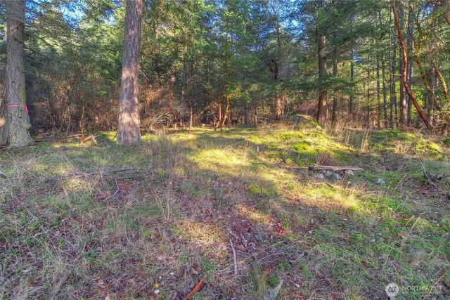 558 Buck Mt. Road, Orcas Island, WA 98245