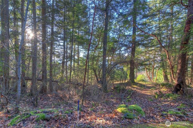 558 Buck Mt. Road, Orcas Island, WA 98245