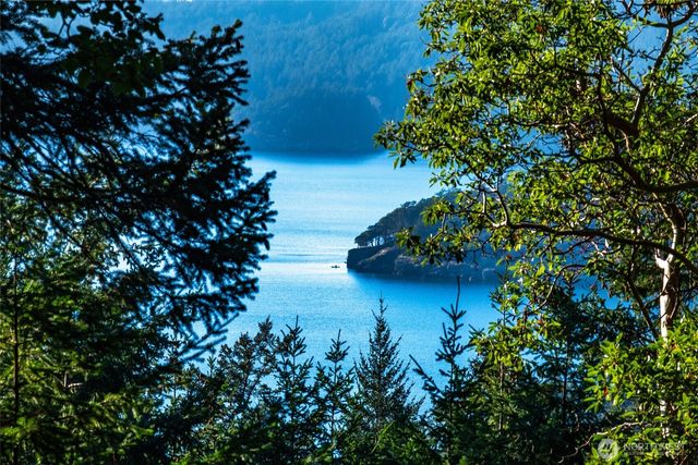 558 Buck Mt. Road, Orcas Island, WA 98245